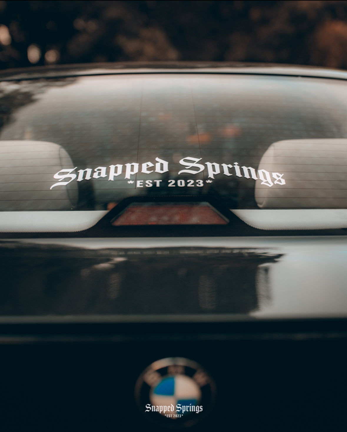 Snapped Springs Gothic Curved Banner