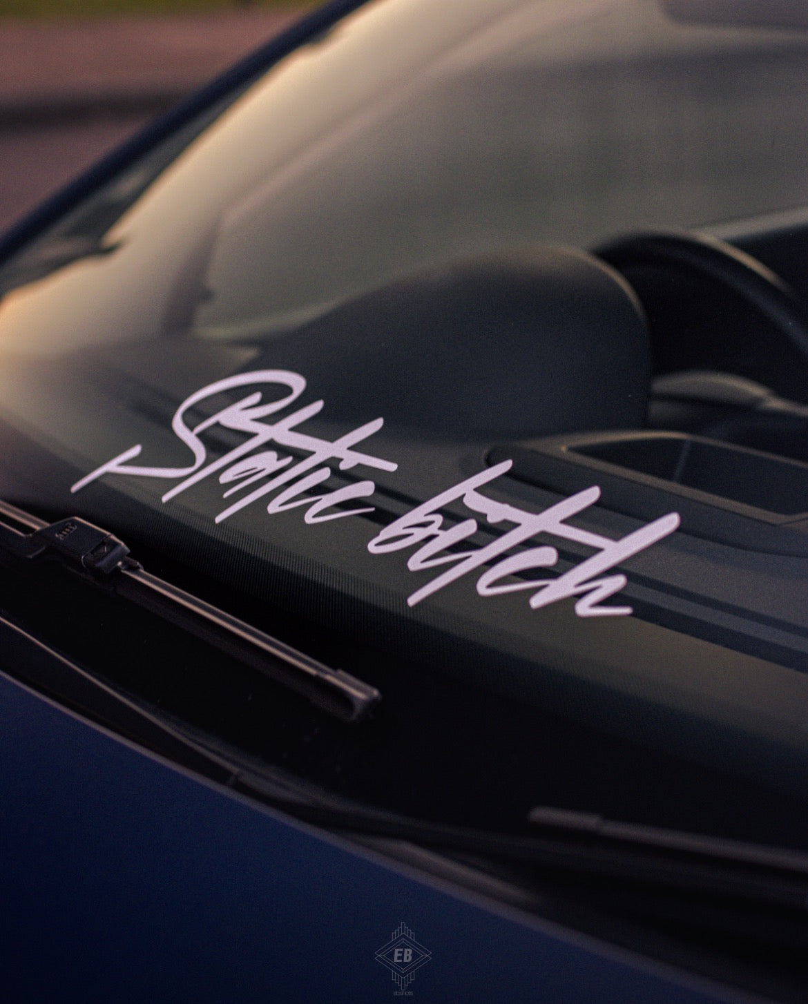 Static Bitch Sticker