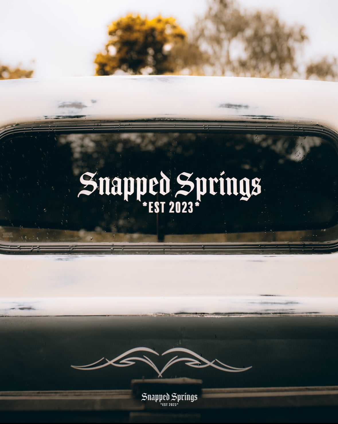 Snapped Springs Gothic