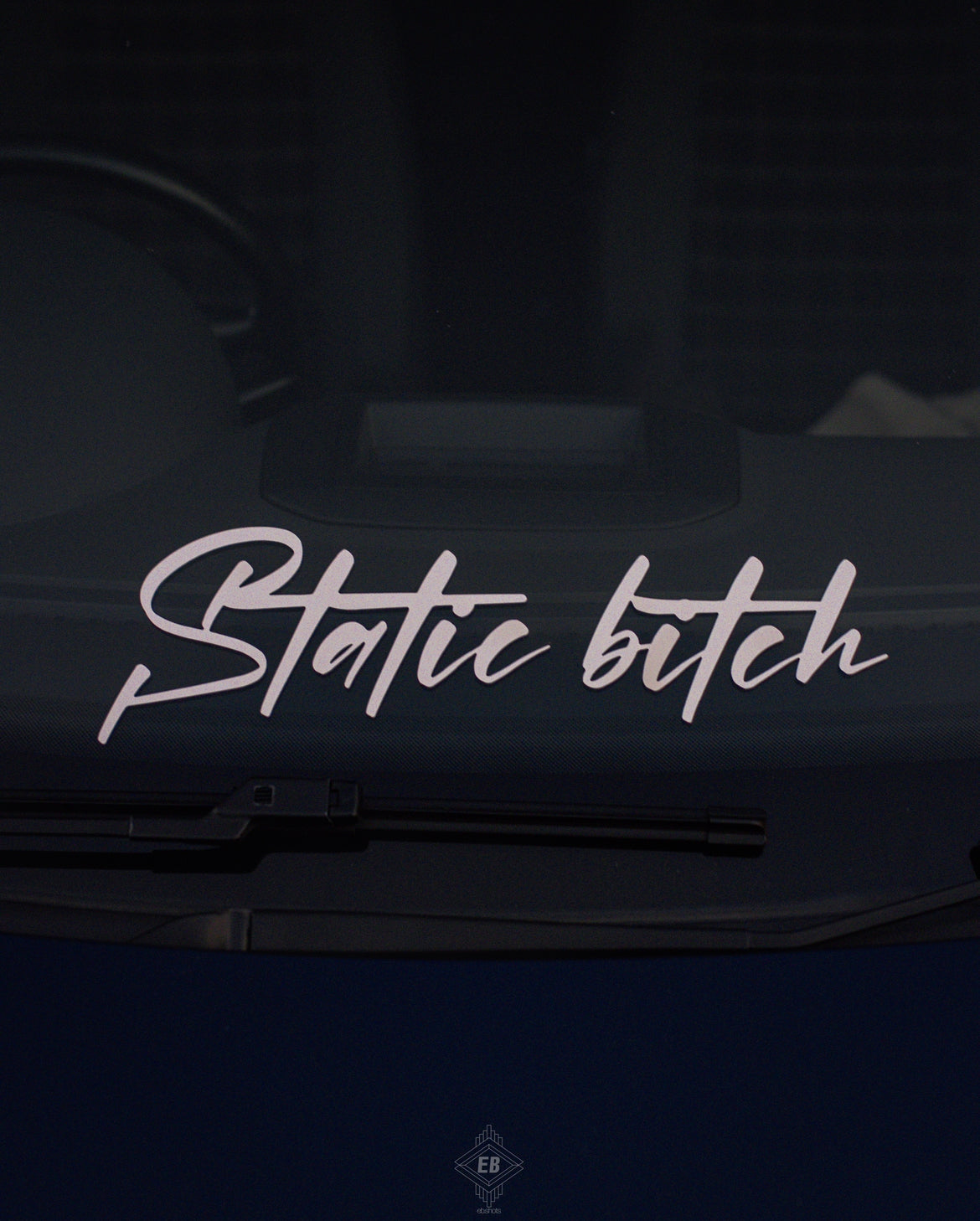 Static Bitch Sticker