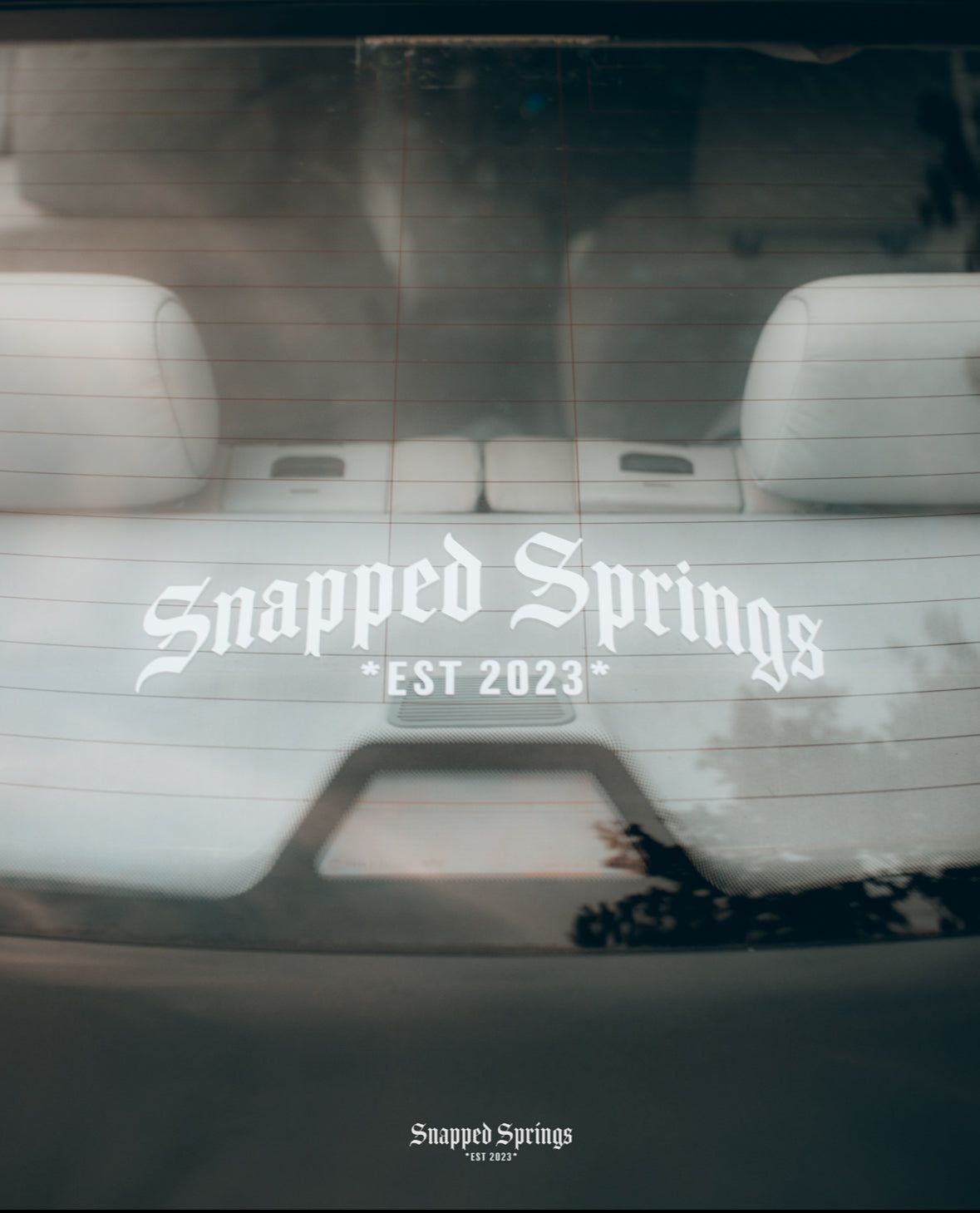 Snapped Springs Gothic Curved Banner
